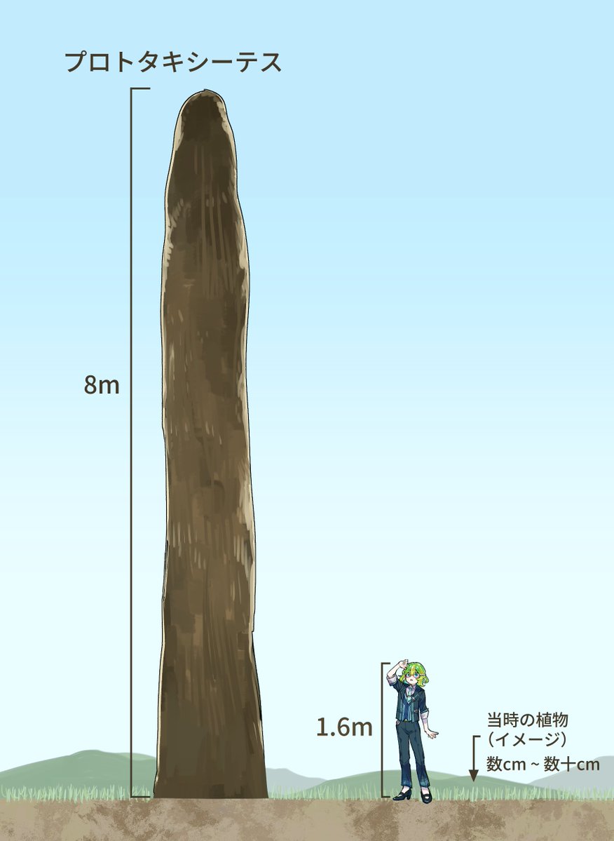 ツイート自体は削除したけど、このイラスト自体には影響はないのでこれは再掲📝
4億年前の陸地は、背の高い植物による "森林" でも、高さ数cmから数十cmがせいぜい🌱そんな中でプロトタキシーテスは、なんと8mもあったとされているのよね‼
絵: 島宮 <a href="/island729/">島宮</a>