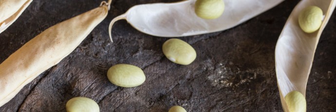 Fabio Fimiani tweet media