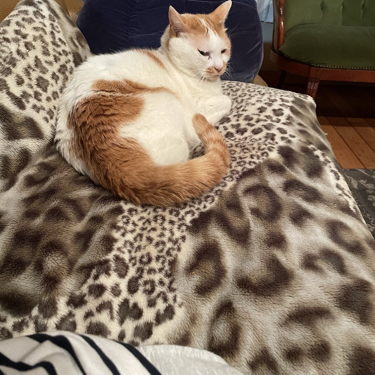 しれっと隣にやってきたかわいいやつ