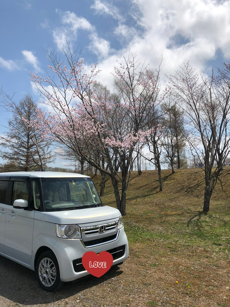 hisako2019's tweet photo. 約8年働いた職場、勤務終了しましたー(退職日は3月中旬)

ペーパードライバーから脱却、愛車を買うきっかけをくれた職場に感謝を(⁎ᴗ͈ˬᴗ͈⁎)

次はケアタクシーに進もうと思ってます。
まずは来月中旬に再度タクシー会社に連絡し面接・二種免許取得にむけ本格的に進めていきます https://t.co/78TRO89h3z
