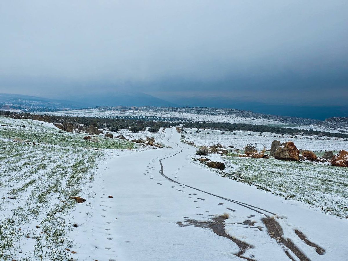 محافظة إدلب tweet media