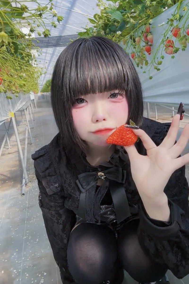 夜桜2点 🍓🍓🍓🍓🍓🍓🍓🍓🍓🍓🍓🍓🍓