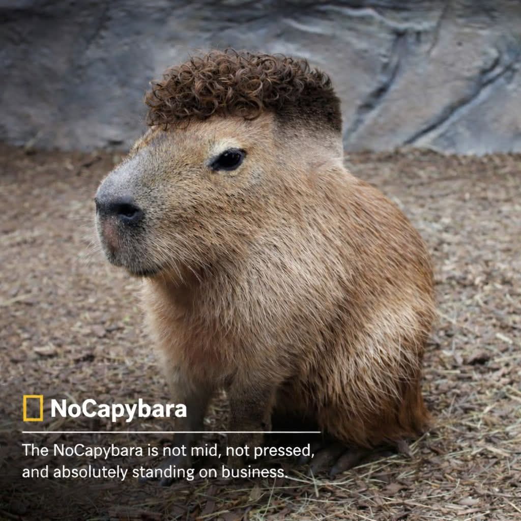 OverInDover's tweet image. 