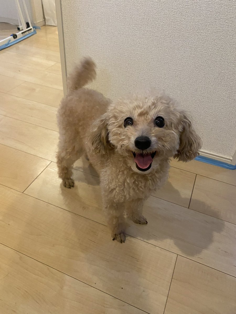 お散歩うれしいだもんね♪♪