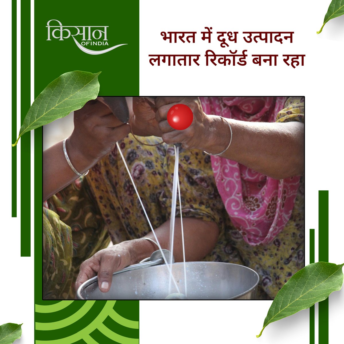 KisanofIndia's tweet image. भारत में दूध उत्पादन तेजी से बढ़ रहा है, लेकिन असली मुनाफ़ा डेयरी प्रोडक्ट बेचने से मिलेगा। दही, घी और मक्खन को लोकल ब्रांड बनाकर पैकेजिंग के साथ बेचने से डिमांड और आमदनी दोनों बढ़ाई जा सकती हैं।

#Kisanofindia #Agriculture #DairyIndustry #MilkProduction #DairyBusiness