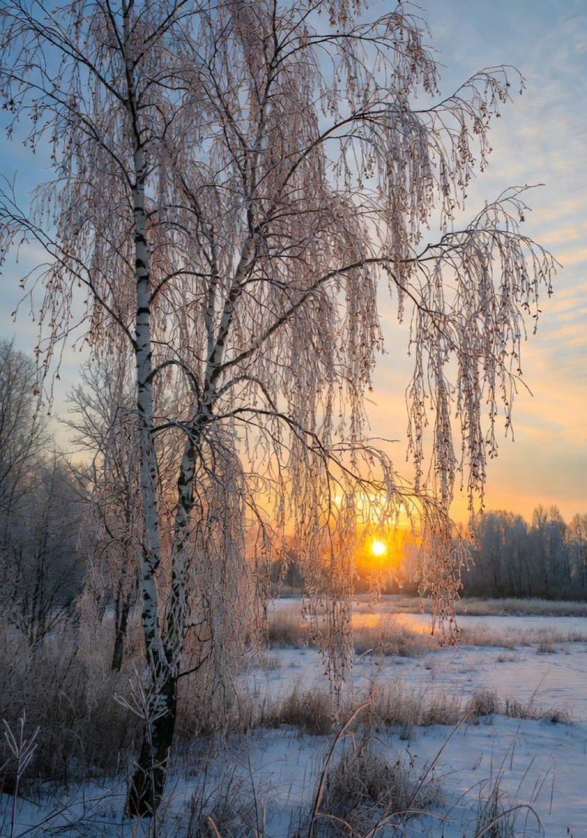 NurseLJohn707's tweet image. Have a beautiful day. 
Happy Friday everyone.