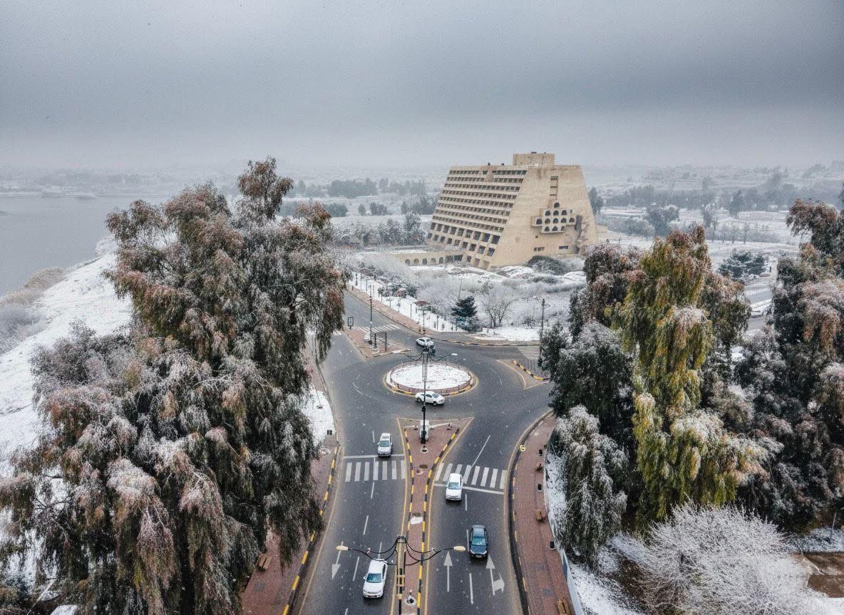 Zaid AL Harbi tweet media