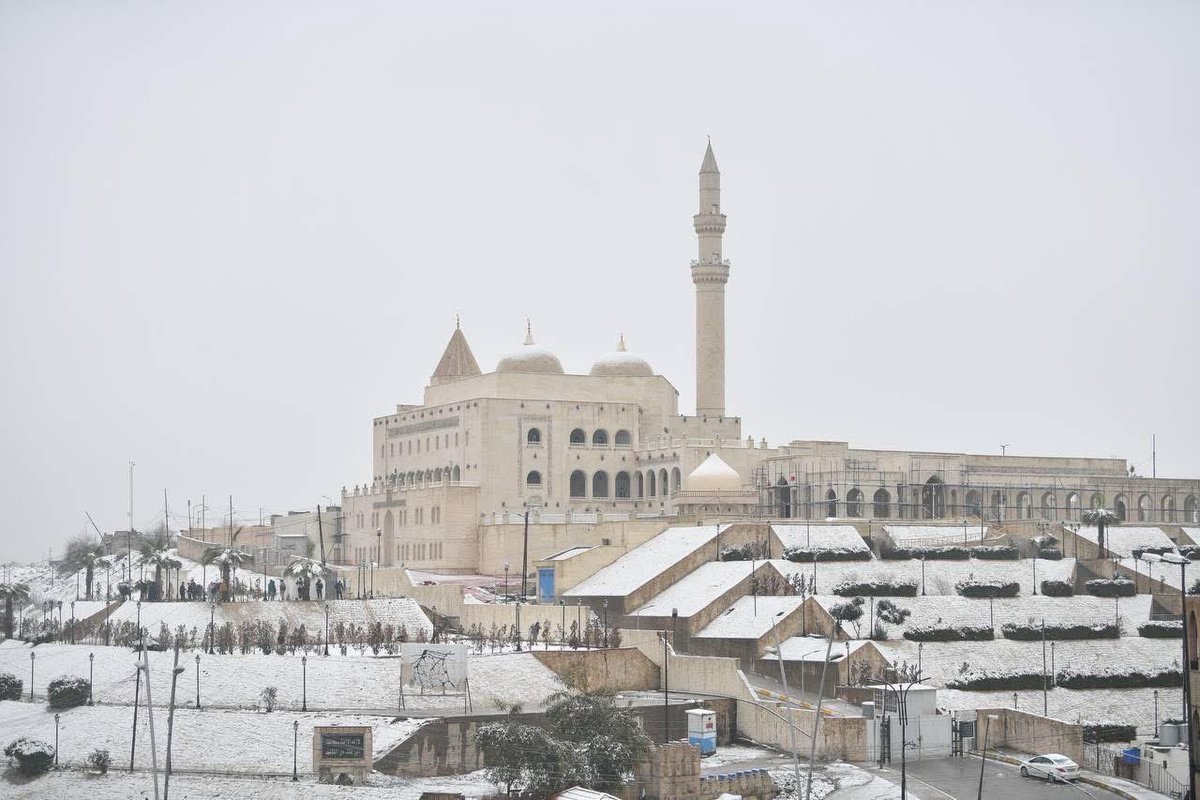 Zaid AL Harbi tweet media