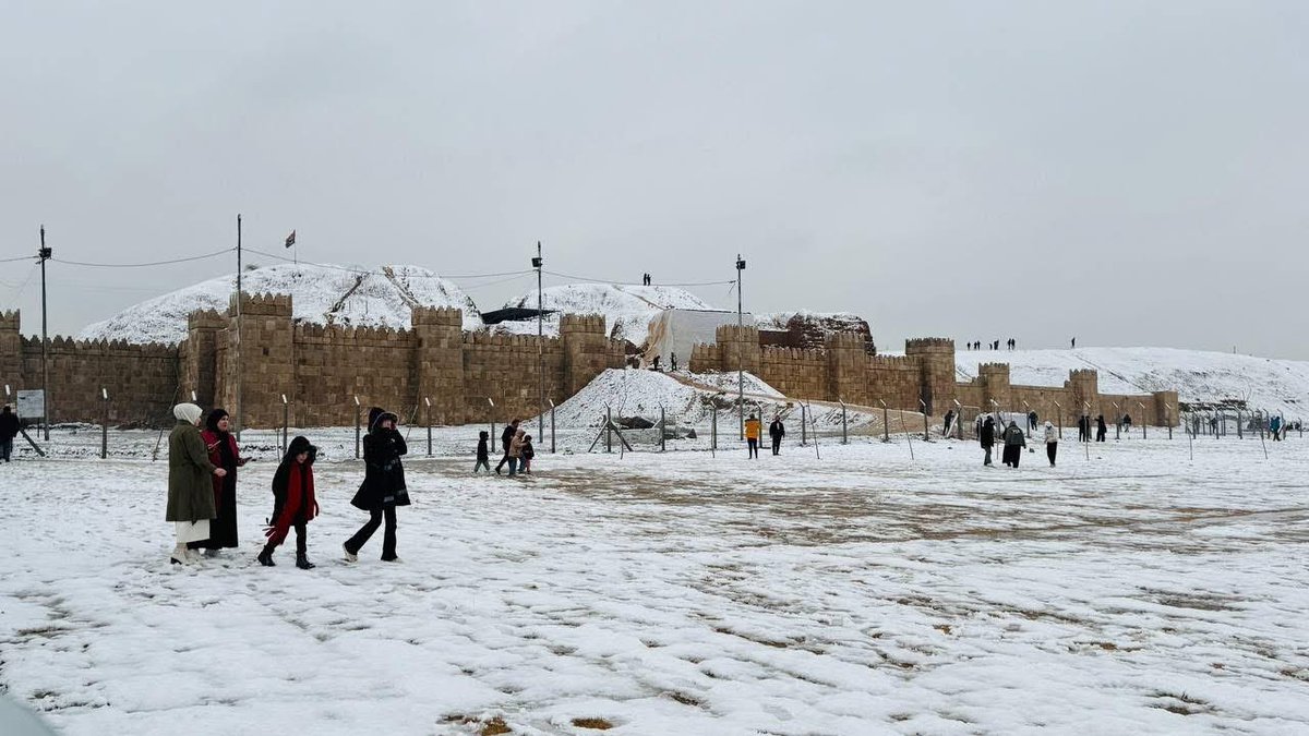 Zaid AL Harbi tweet media