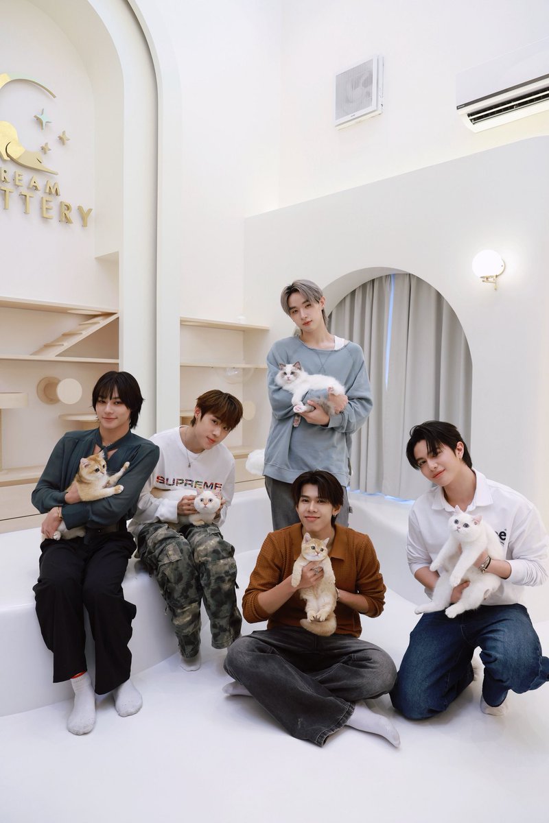 Toro Cat Food ประกาศเปิดตัว "LYKN" พรีเซ็นเตอร์สุดคิ้วของ "โทโร่ อาหารแมวของคนเจนใหม่" ยินดีกับเจ้าเหมียวทั้ง 5 ด้วยน้า

#LYKN #TOROxLYKN #อาหารแมวโทโร่ #อาหารแมวของคนเจนใหม่ #ชัดทุกคํา
#TOROCATFOOD