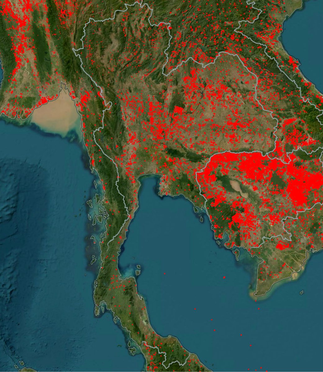 khajochi's tweet image. ภาพนี้คือพื้นที่ความร้อนจาก NASA ในช่วง 7 วันที่ผ่านมา จุดแดงคือพื้นที่มีการเผาป่า หรือไฟขนาดใหญ่

ฝุ่นที่เกิดขึ้นหนักมากในช่วงนี้ มาจากการเผาในหลายจังหวัด หนักมากที่ นครสวรรค์, ชัยภูมิ, กาญจนบุรี, นครราชสีมา, ลพบุรี

แต่ที่หนักสุดคือกัมพูชา พื้นที่เผาป่ามากกว่าไทยถึง 4.5 เท่า…