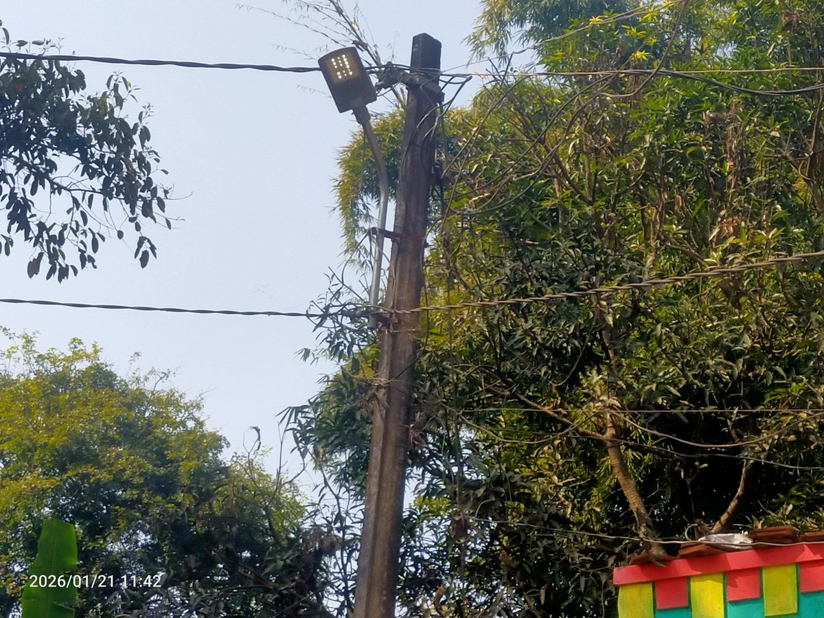 BikashLoka8318's tweet photo. The street light at Nighamniguda, GP Padampur, Koraput Block, Koraput District has not been working for the last 7 months.
Residents are facing safety issues during night hours.we urgue to @BdoKoraput91664
& @dmkoraput,Kindly take immediate action.
#StreetLightIssue https://t.co/SYqQUBHdd2