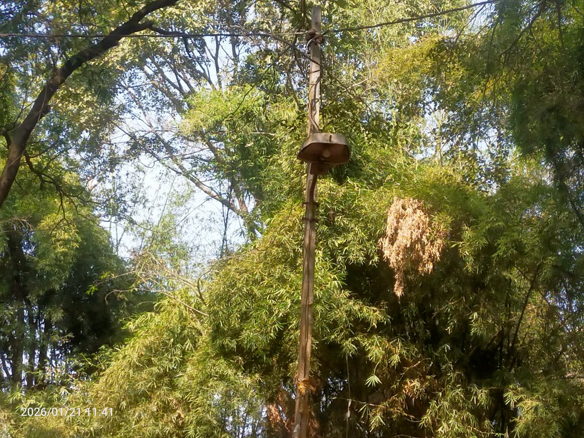 BikashLoka8318's tweet photo. The street light at Nighamniguda, GP Padampur, Koraput Block, Koraput District has not been working for the last 7 months.
Residents are facing safety issues during night hours.we urgue to @BdoKoraput91664
& @dmkoraput,Kindly take immediate action.
#StreetLightIssue https://t.co/SYqQUBHdd2
