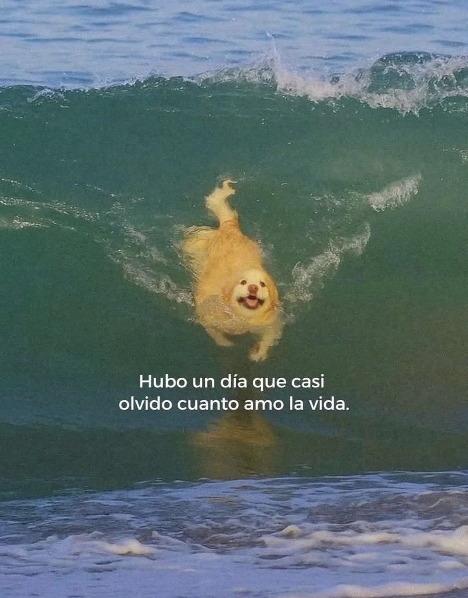 hombres's tweet photo. https://t.co/3k1X0EnUIY