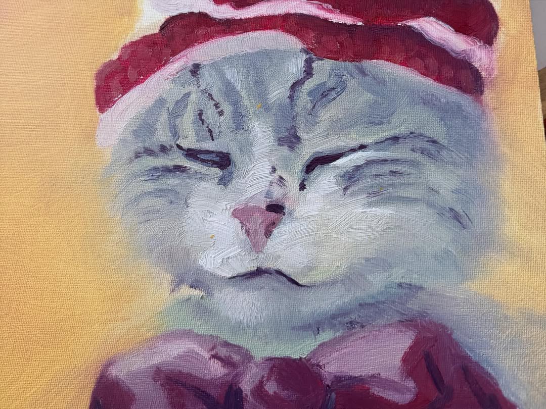 alba reche news 🏹 tweet media