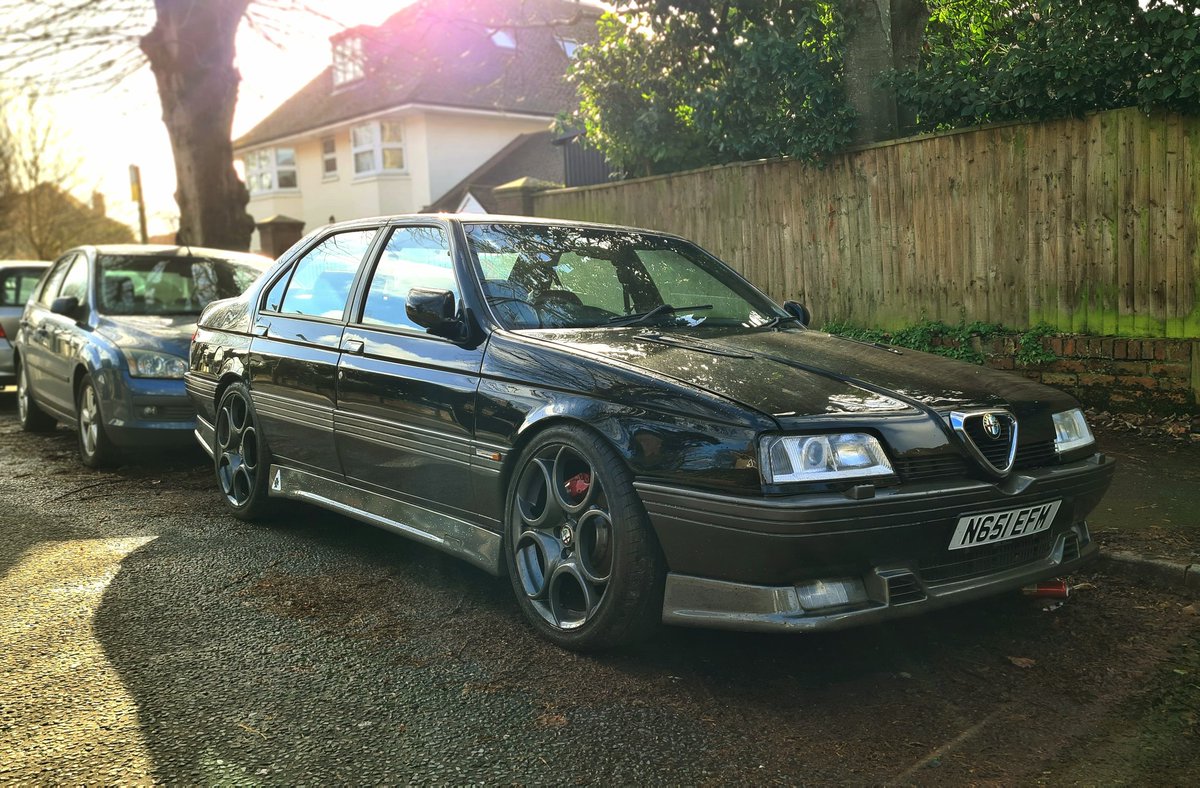 Dogknob1 tweet media