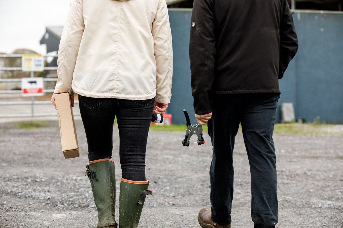 Cormac Tagging 🐄🐏 🏷 tweet media