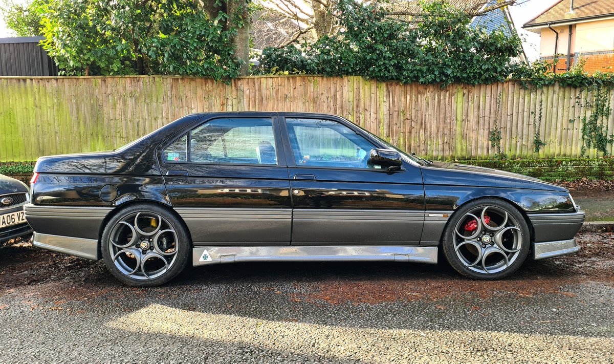 Dogknob1 tweet media