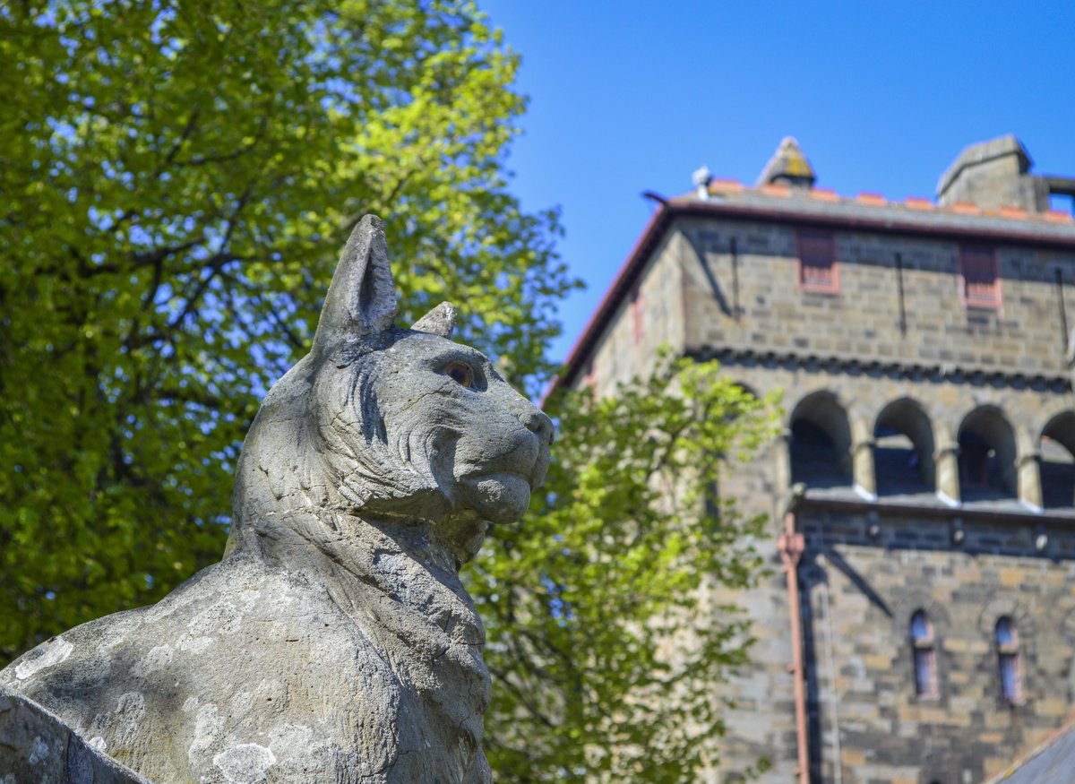 Cardiff Council tweet media