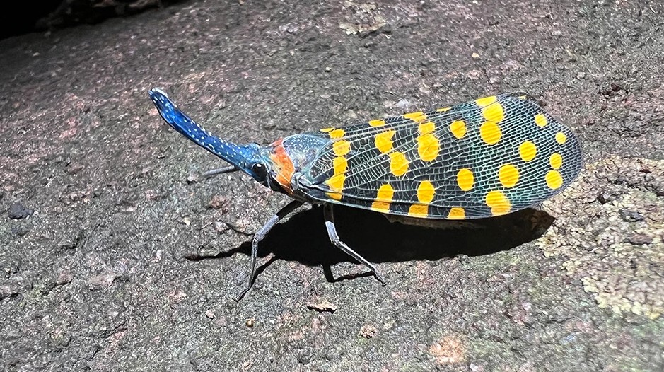 Brownyard Group tweet media