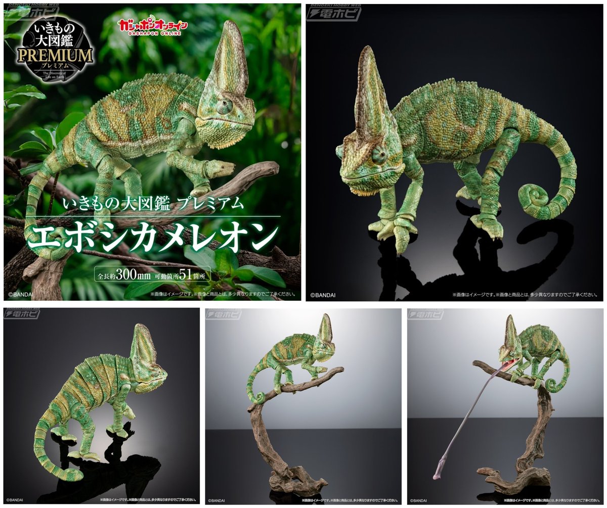 【今日の話題】全長約300ミリの大迫力サイズ！#エボシカメレオン の可動フィギュアが「いきもの大図鑑プレミアム」にラインナップ！ガシャポンオンライン店限定で販売中！

hobby.dengeki.com/news/2881159/
