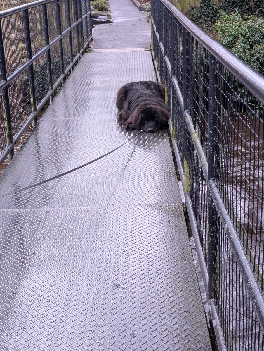 Anne Kelly ⛔NO DMs⛔ unless I know or follow you. tweet media