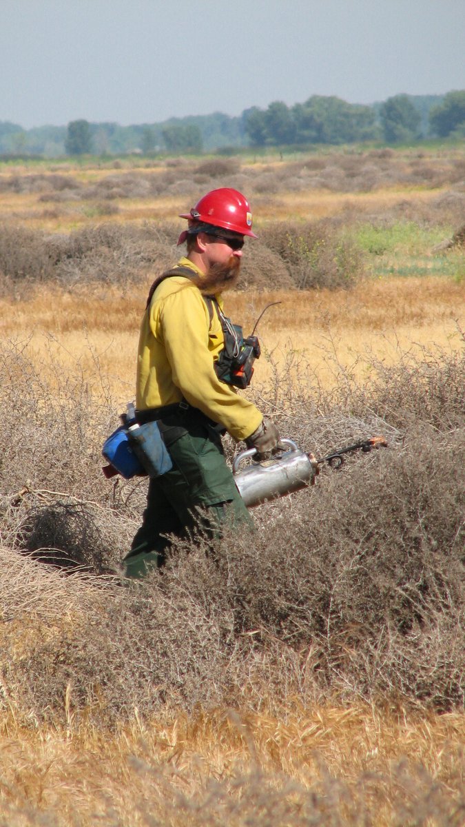 USFWS Fire (Archived) tweet media