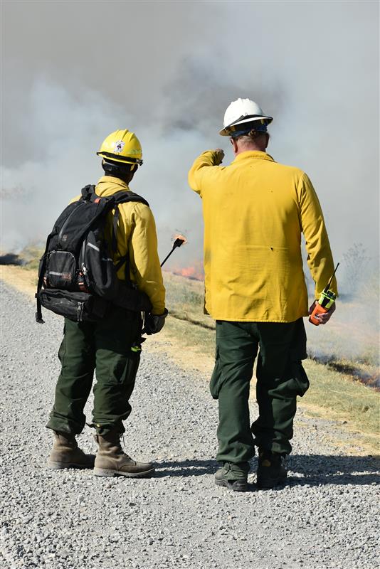 USFWS Fire (Archived) tweet media