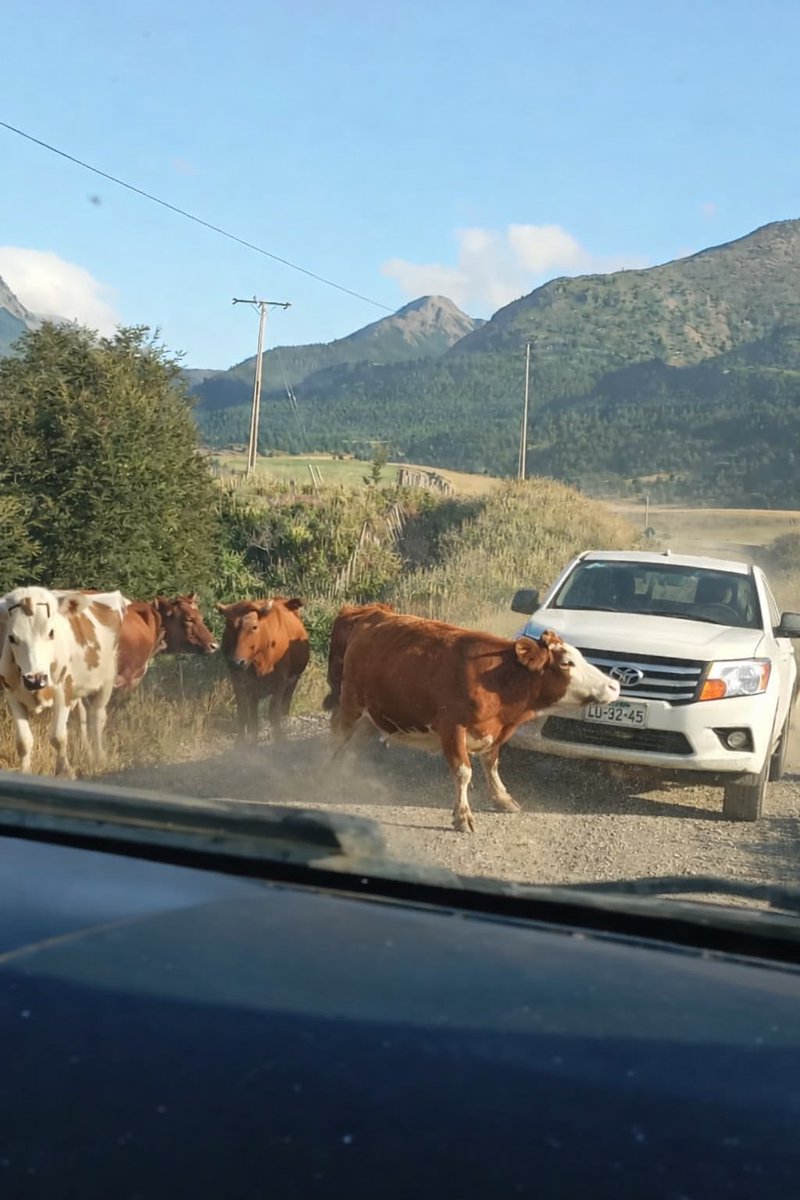 Mae Aracena tweet media