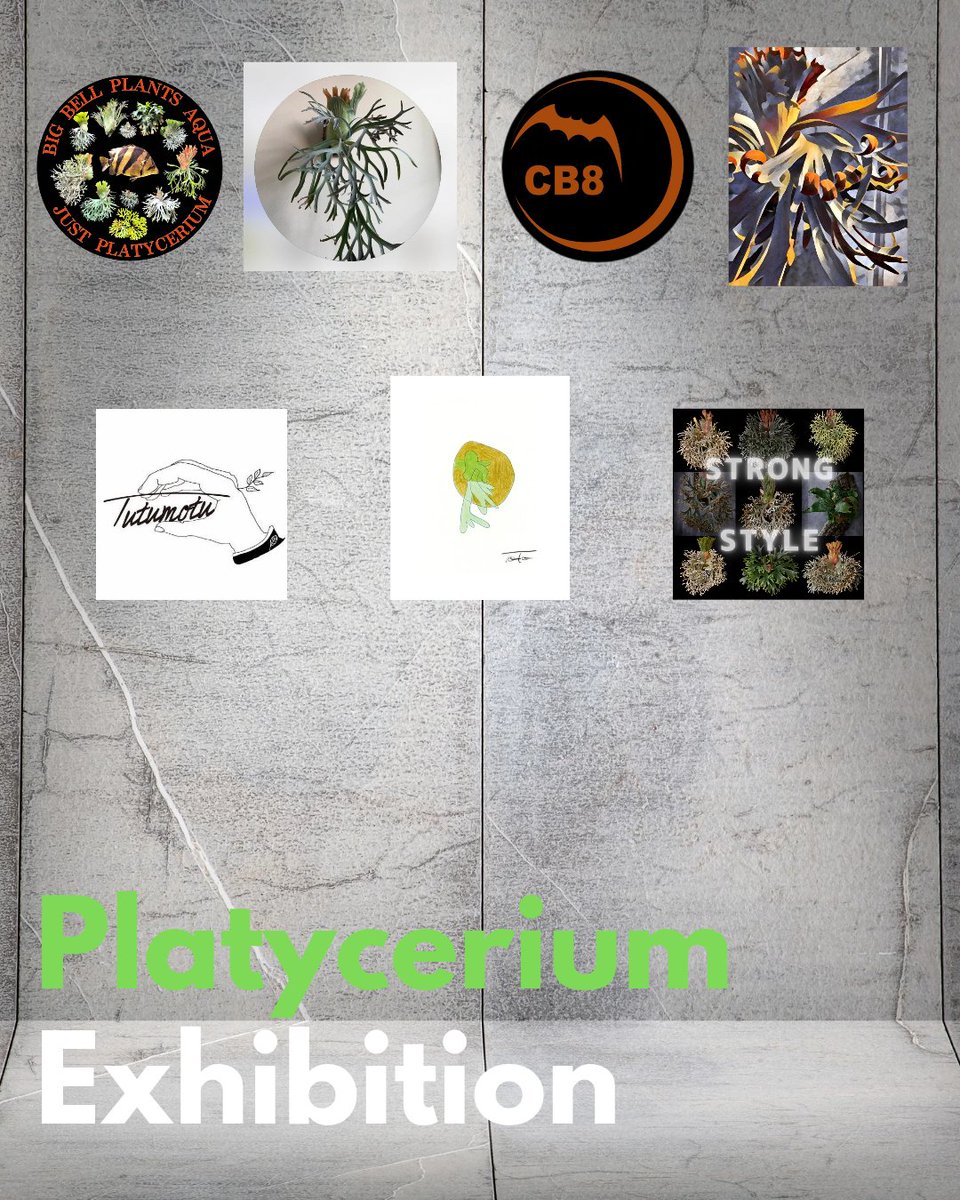 Platycerium Exhibition
〜ビカクシダ展示会〜

展示会イベント再始動しまス🧔🏻‍♀️

愛好家が育成したビカクシダの展示を通じて、
園芸植物としての普及と芸術性の振興を図り、文化醸成を促進することを目的とした展示会イベントです。

各愛好家のビカクシダを会場内に40株〜展示いたします