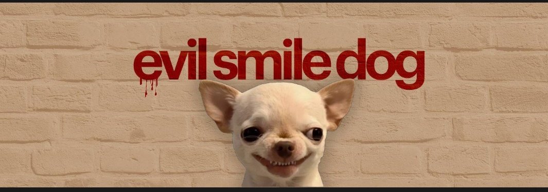 ainmtsn1999's tweet photo. It would be longterm play, and its free only 8k MC, $busya the evil smile dog, his videos has been watching 2,5 mil times on tiktok.
2n8hRyrNWdo1YnEAxhrMRJF1EynqY6r6nAG8YT8Npump
#busya #tiktok #solana #memecoin https://t.co/0pwTGpsHm5