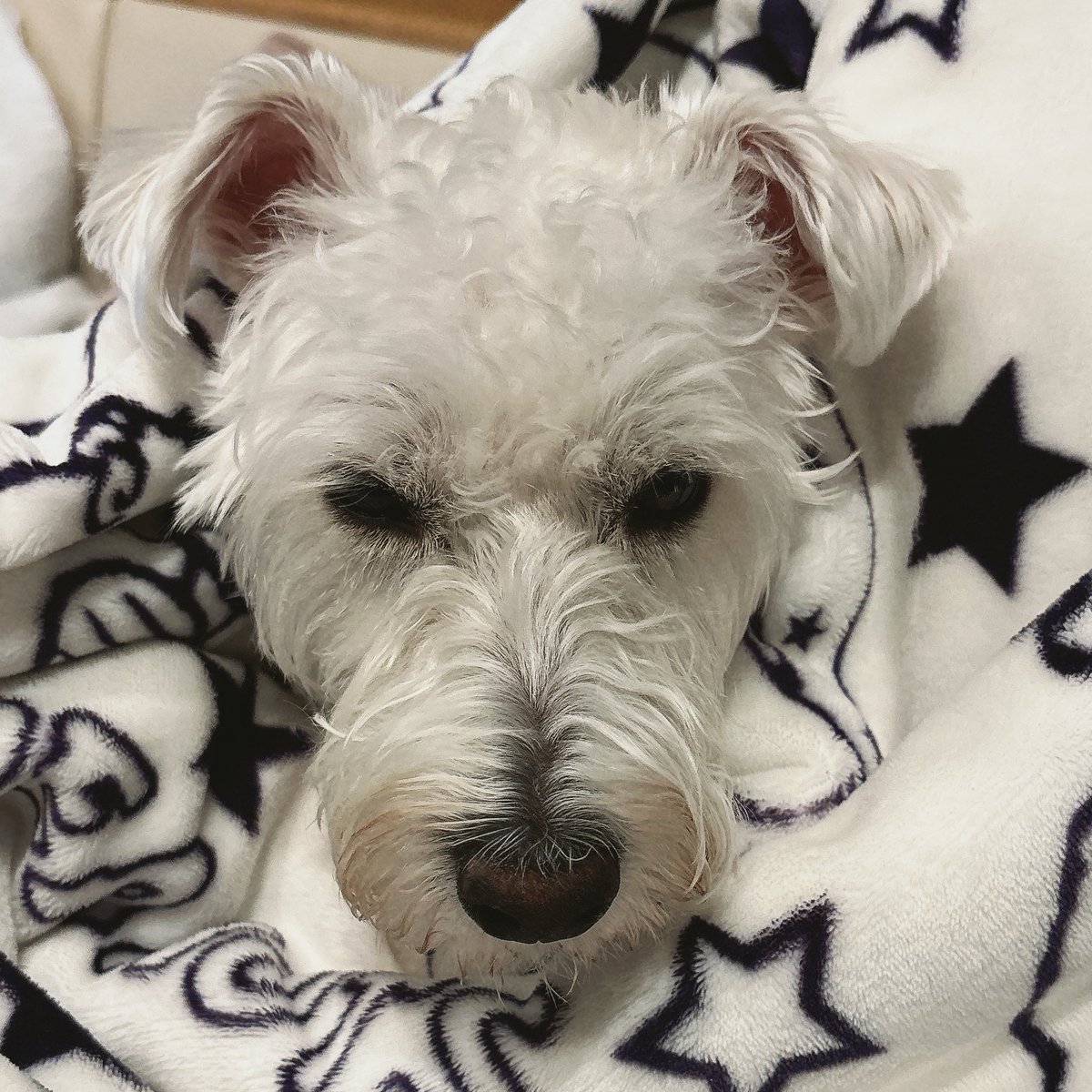 PosSamui's tweet image. 