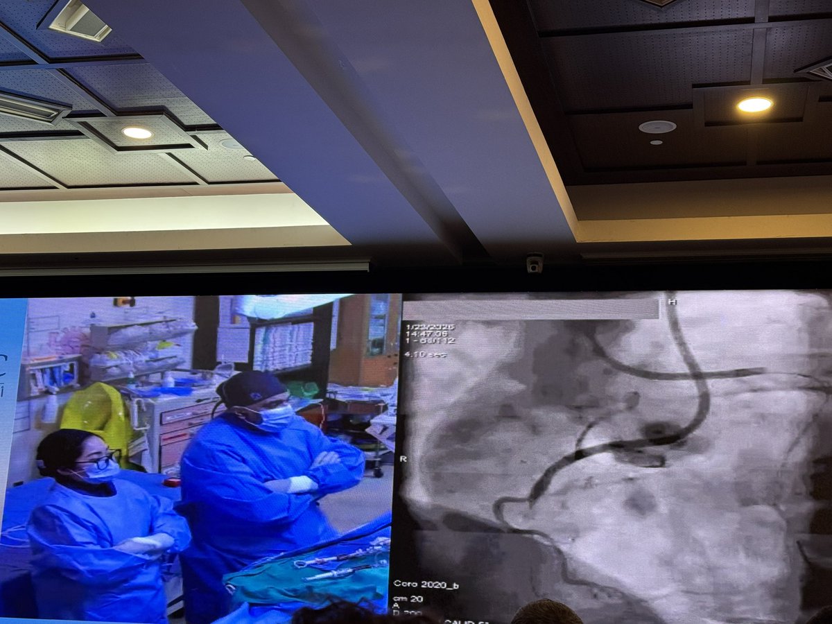 Raouf88🍕 tweet media