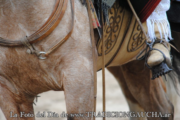 tradiciongaucha's tweet photo. 📸 #FotoDelDía #Cincha #Tradición 
https://t.co/JAtNwCT7Na https://t.co/cvangLbfc0