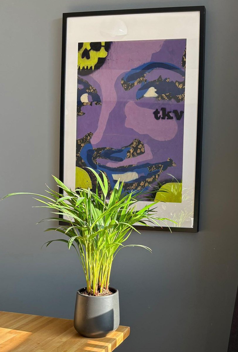 Kraljica Vila (@tkvtweet) on Twitter photo 