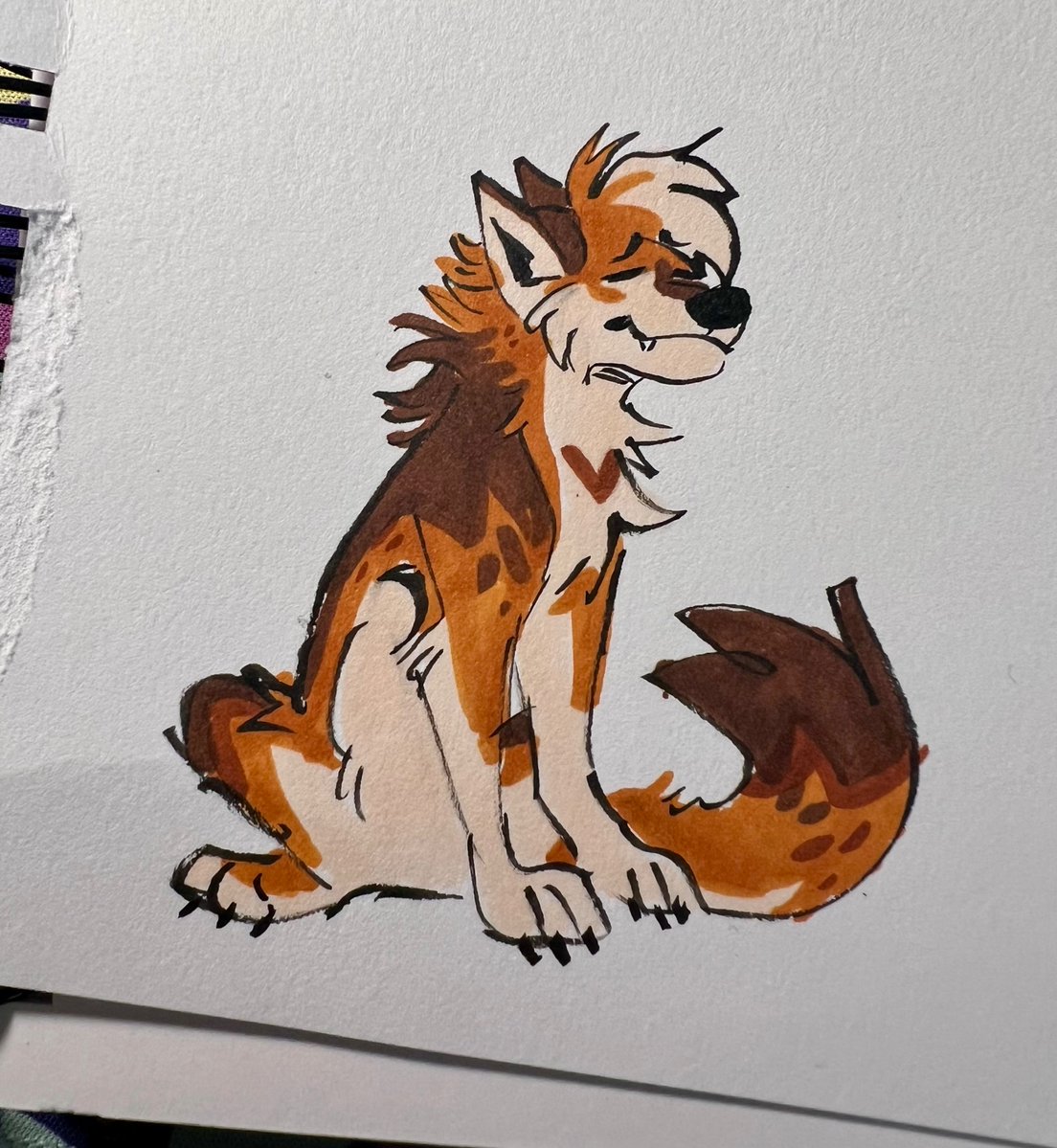 Kotacat4's tweet image. Small and doggo