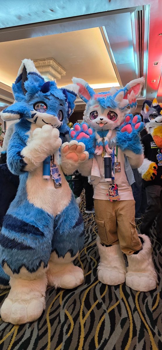 I am Pi ➡️ lifc2026 tweet media