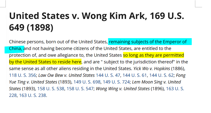 Nianello6 tweet media