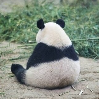 49bbang's tweet image. 어떡해 ........