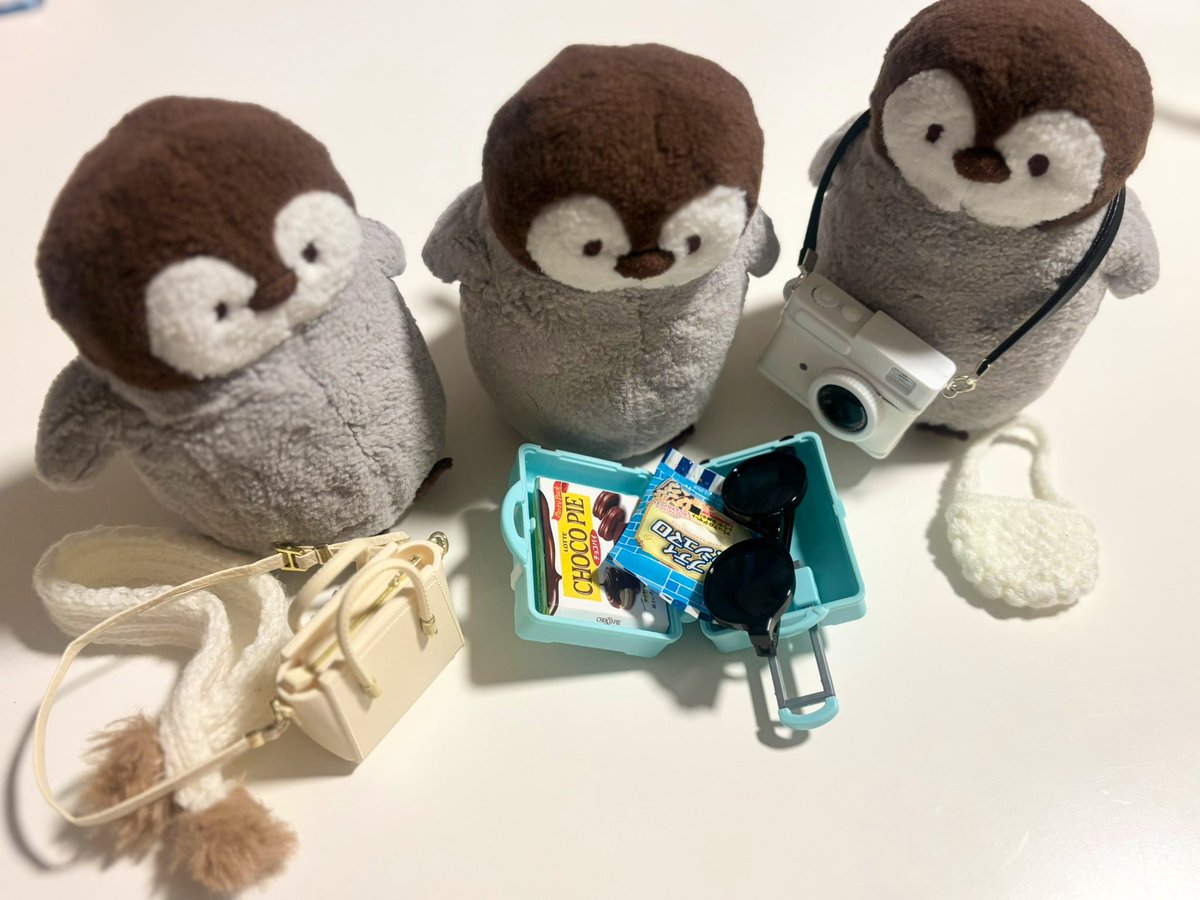 旅行のじゅんび🧳いそいそ