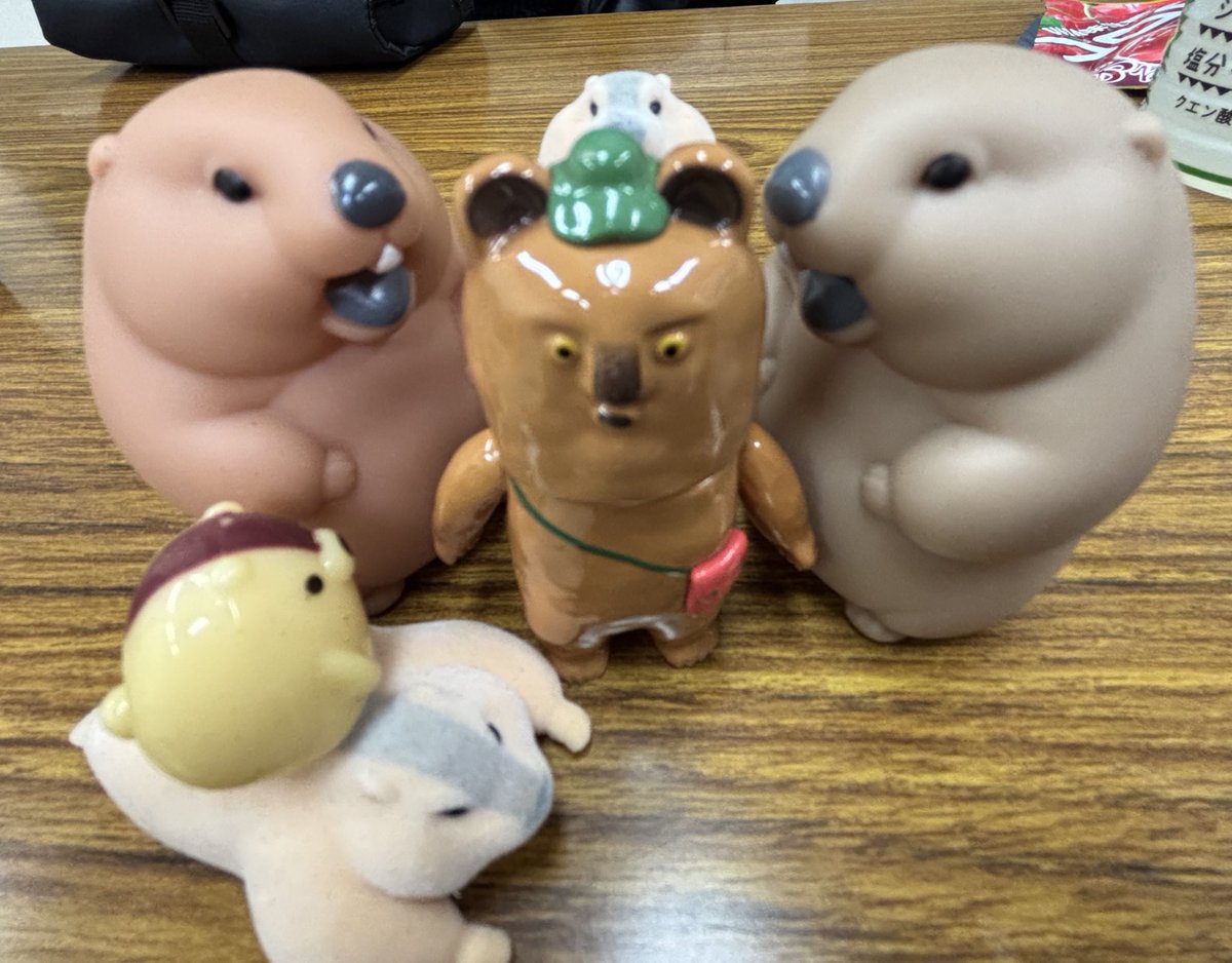 Ms_mar_mot's tweet photo. ＼準決勝チケットご予約は今日まで／

https://t.co/LCyP2B2ljT

圧をかけるマーモットたち https://t.co/eXp8DhRhF3
