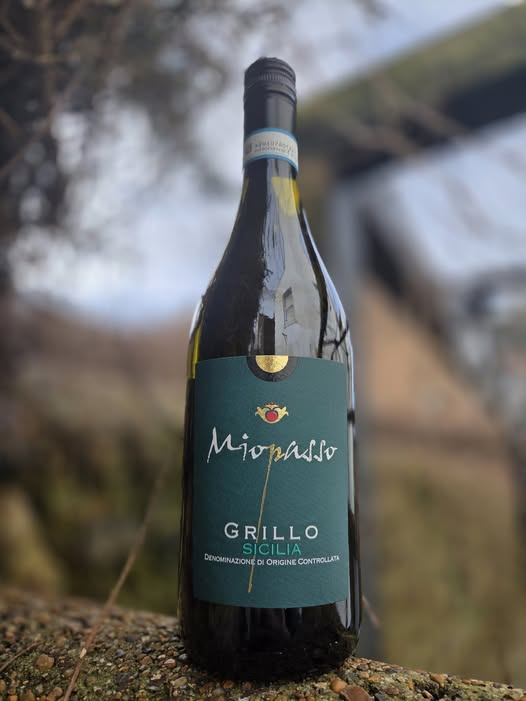 wine_quotes's tweet photo. Mediterranean Grillo
Limited stocks available this January Sale
Free delivery included!
https://t.co/morR9l74eE - 01903 207914
#nofussjustwines #grillo #sicily #whitewine #shoponline #buyonline #onlineshopping #sales #wines #wine #winemerchant #sussex https://t.co/RhqinBedoF