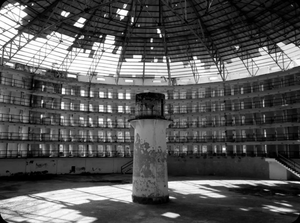 Hardy | .Moss ⛽ 🟢STABLE🫎 tweet media