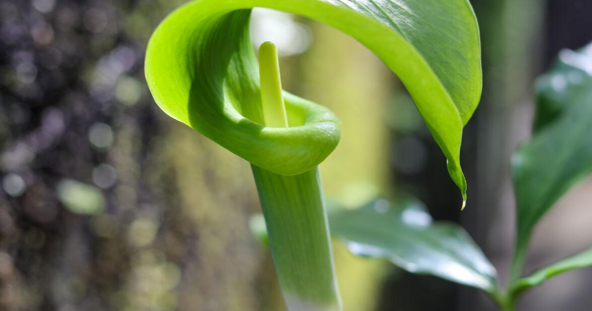 The Fulton County Neighbor tweet media