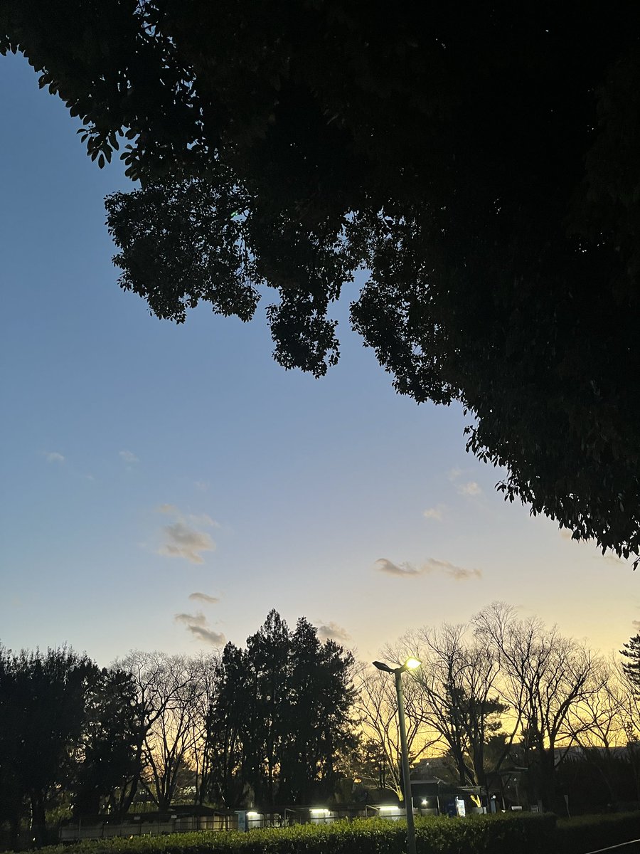 modernzcoffe's tweet photo. 帰り道のBlues https://t.co/uHFlbsc1fs