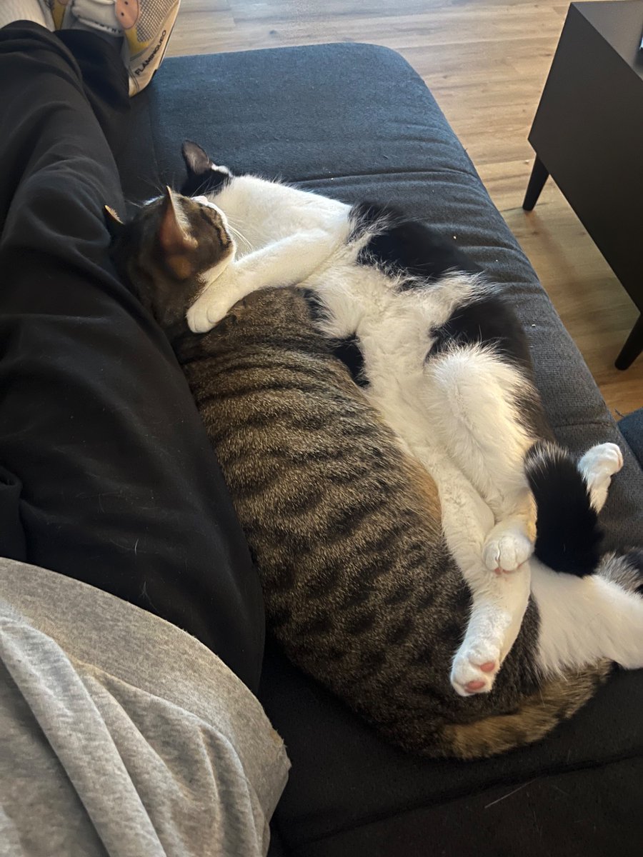 Warum sind die zwei nur so fucking süß? 🥰