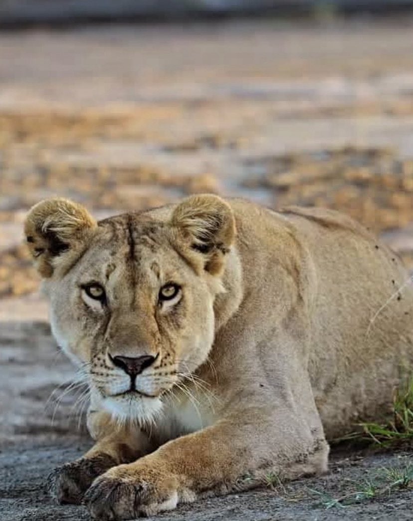 Brian Tech tweet media