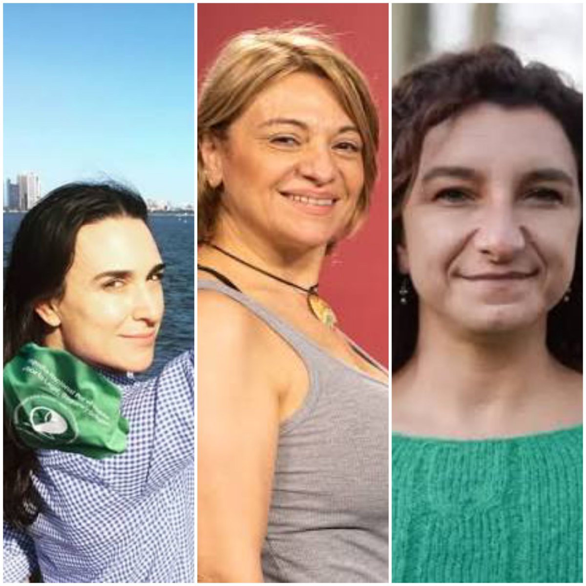 abrilcba_'s tweet image. Echaron de C5N a Silvina Sterin Pensel por antisemita, lo mismo tendría que pasar con Feudale y la legisladora nazi Vanina Biasi. Tres nefastas.