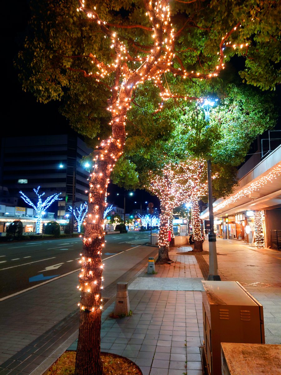 Kiroro_Vf1j's tweet photo. こんばんは
いつもありがとうございます
只今帰路途上車中
朝と同じく
少し風が弱まってる
これなら当地は平年の冬並みかな
今宵は冬恒例の
#KEYAKI LIGHT PARADE
で締めくくりです
どうか暖かくしてお休みください
#イルミネーション https://t.co/jv0h9gWdFd