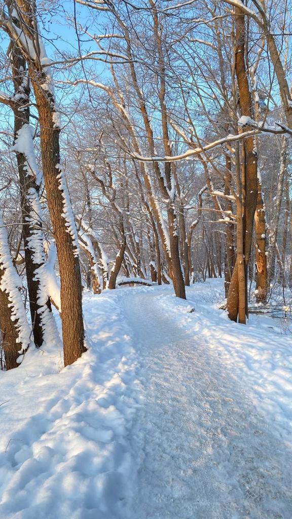 OTaronenko's tweet image. 